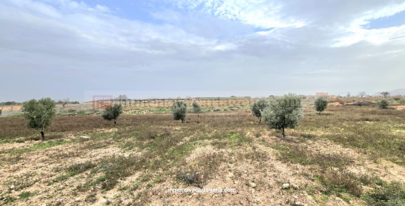 Venta de Terreno Rustico en CUESTA BLANCA